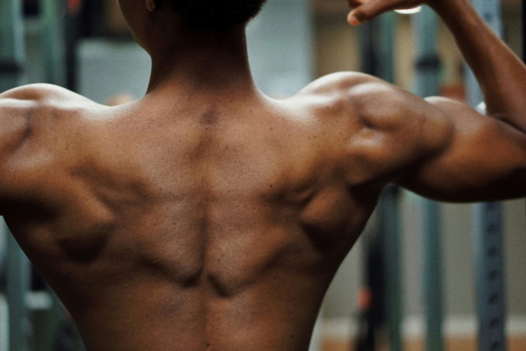 homme de dos montrant sa musculature